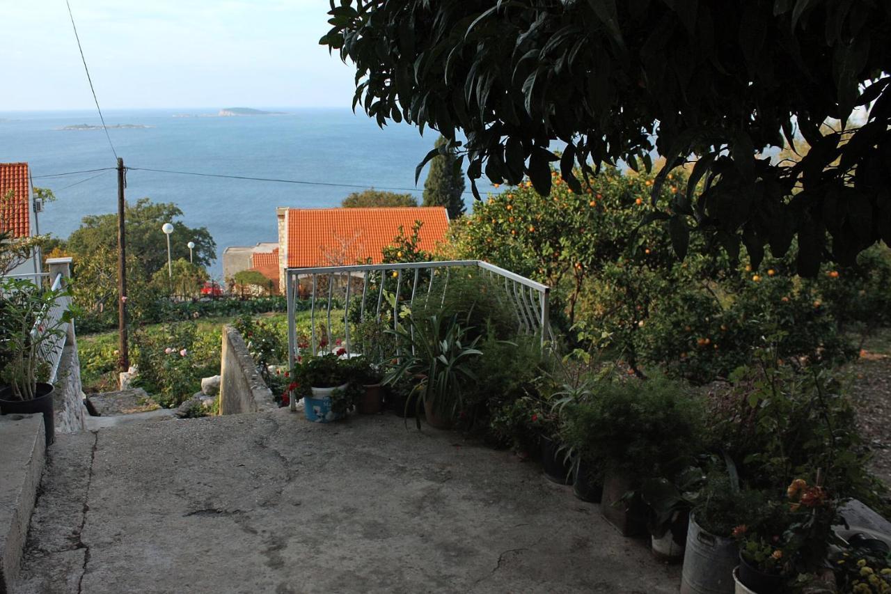 מליני Apartments With A Parking Space Plat, Dubrovnik - 4776 מראה חיצוני תמונה